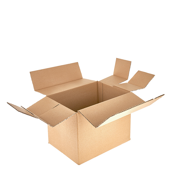 Scatole di vetro (25 pezzi) con 6 scomparti 250x170x195 mm