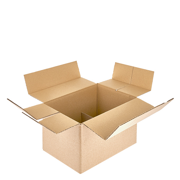 Scatole di vetro (25 pezzi) con 6 scomparti 234x155x147 mm