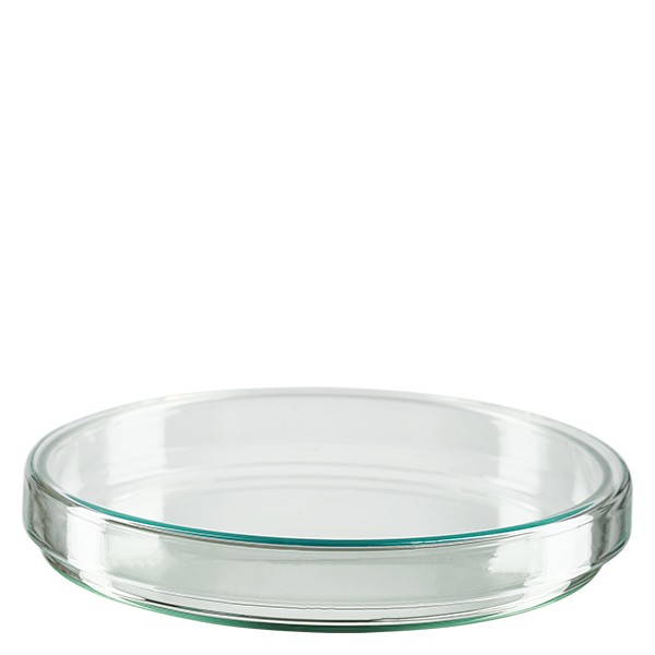 Piastra Petri 120x20 mm in vetro