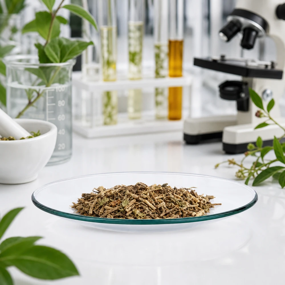 Piatto di vetro per orologi Ø 100 mm Guarda il piatto di vetro in un ambiente di laboratorio sterile per la ricerca sulle piante farmaceutiche