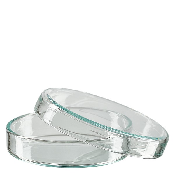 Piastra Petri 60x15 in vetro