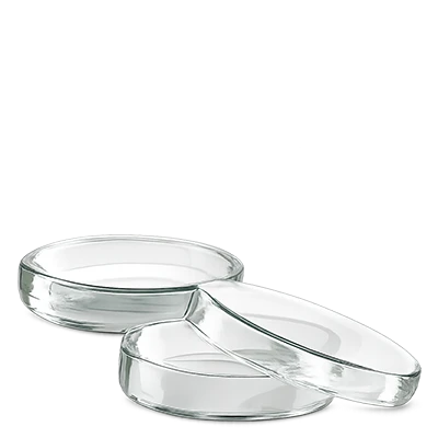 Capsule di Petri (vetro)