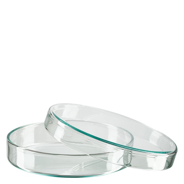 Piastra Petri 100x20mm in vetro