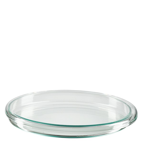 Piastra Petri 100x10mm in vetro