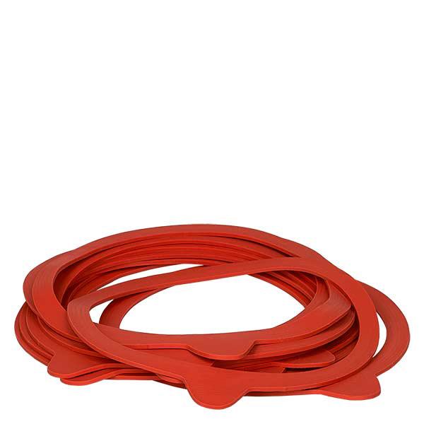 Anello di conservazione in gomma naturale RR100 (confezione da 10)