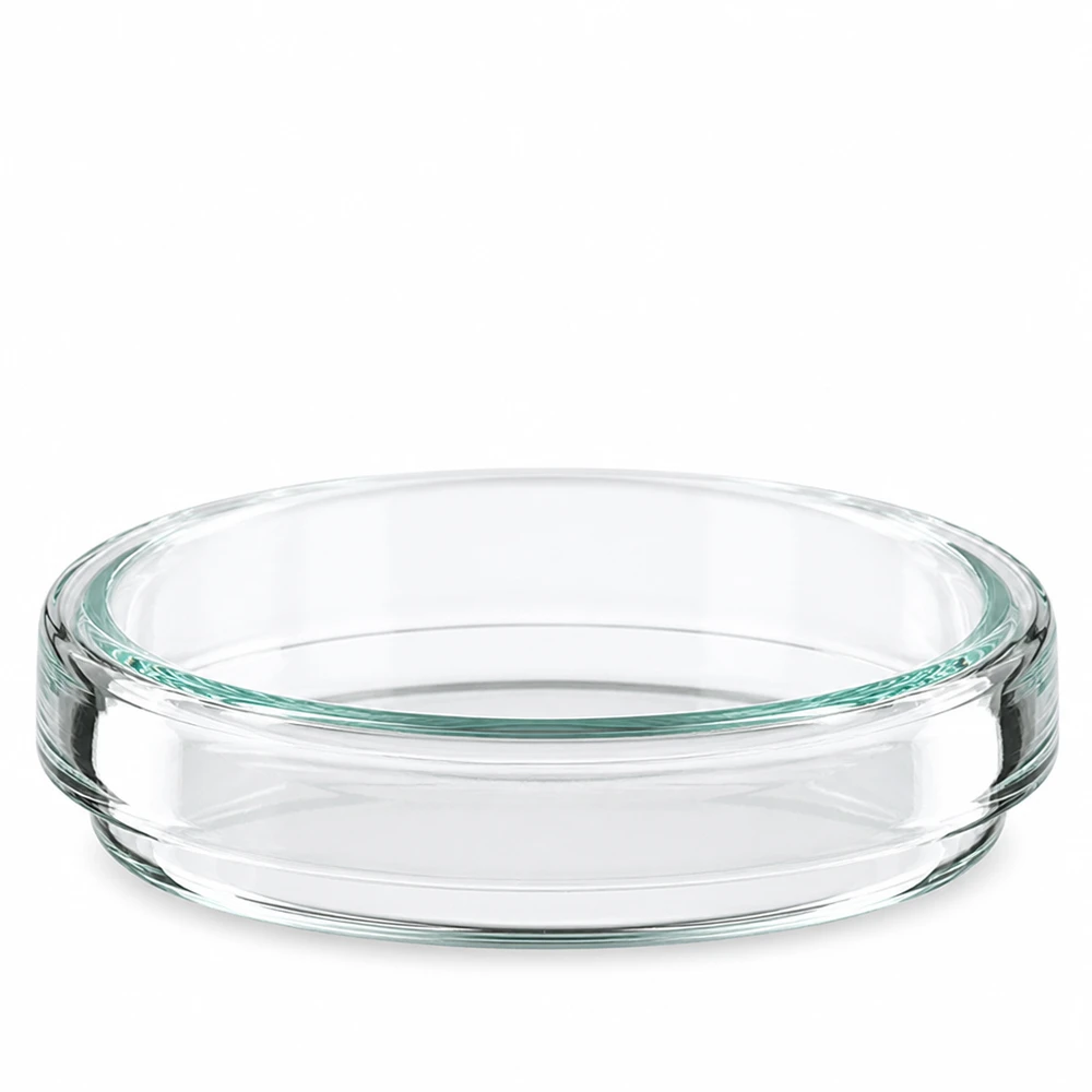Piastra Petri 60x15 in vetro Una singola capsula di Petri in vetro, 60x15 mm, vuota e trasparente, vista frontalmente su sfondo bianco