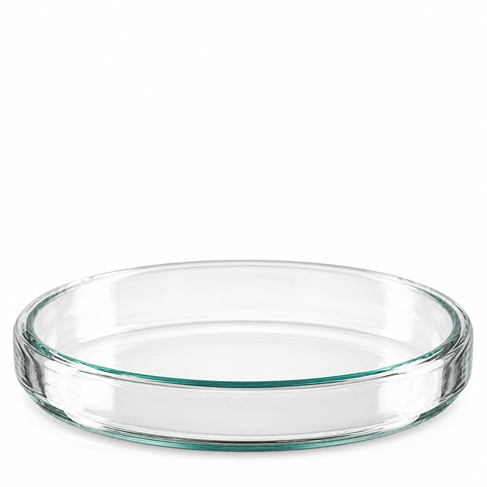 Una singola piastra di Petri in vetro borosilicato trasparente, 90x15 mm, fotografata dall'alto in obliquo