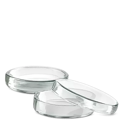 Capsule di Petri (vetro)